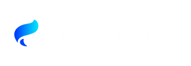 Northfina Logo